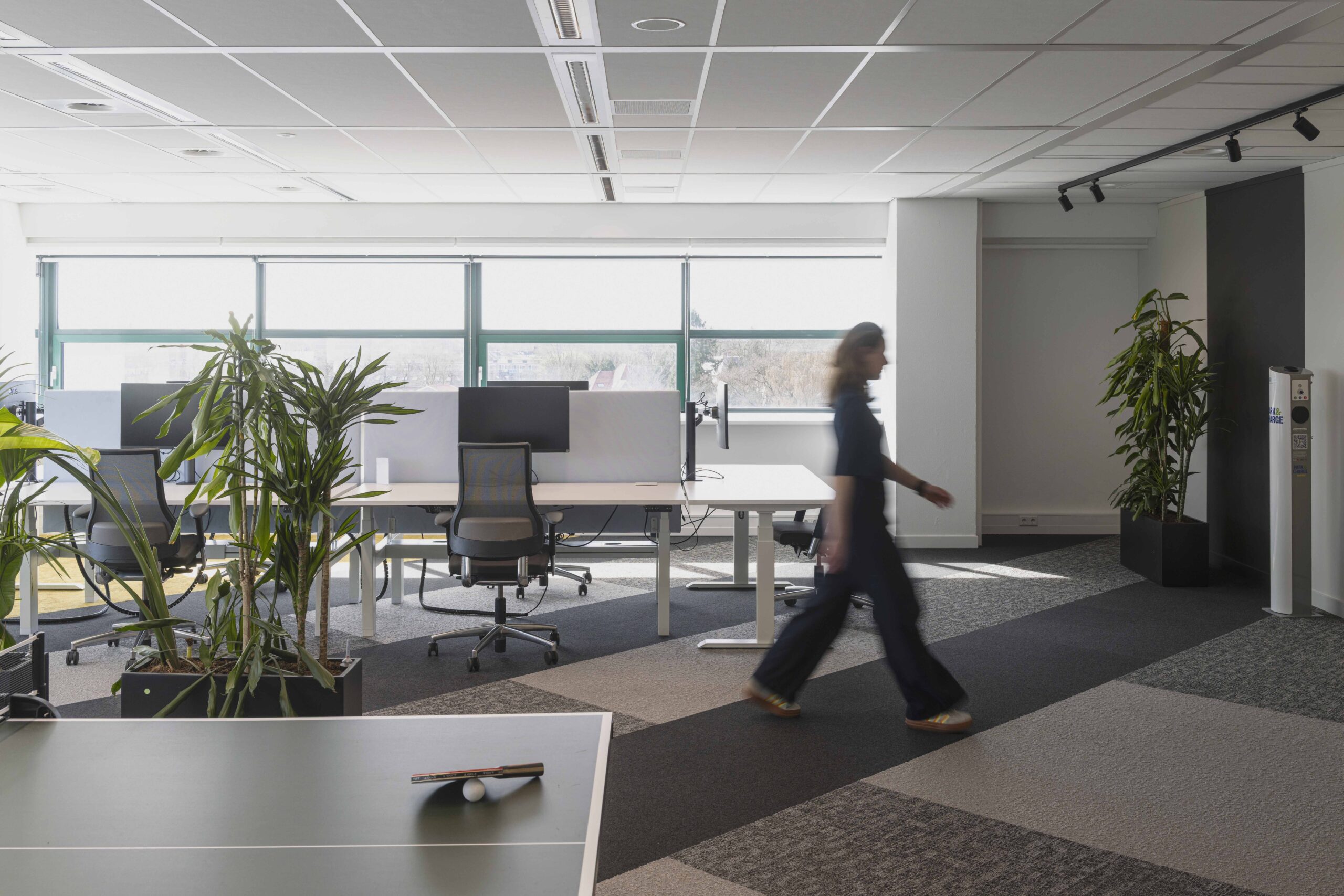 Circulaire tapijtvloer met grafisch patroon in kantoor Qwello Amersfoort