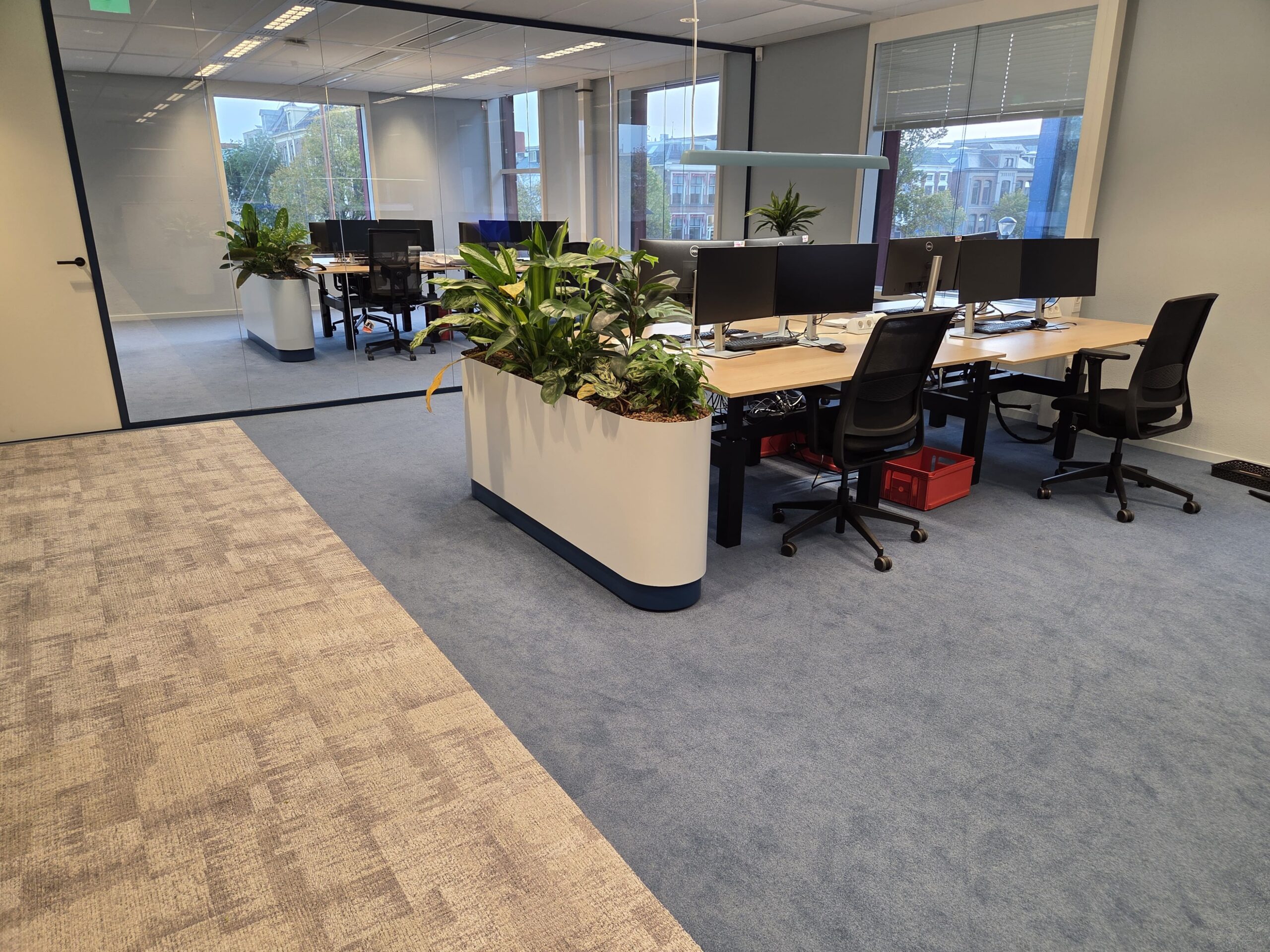 Open kantoor met blauwe tapijtvloer en plantenbakken bij KVK Leeuwarden